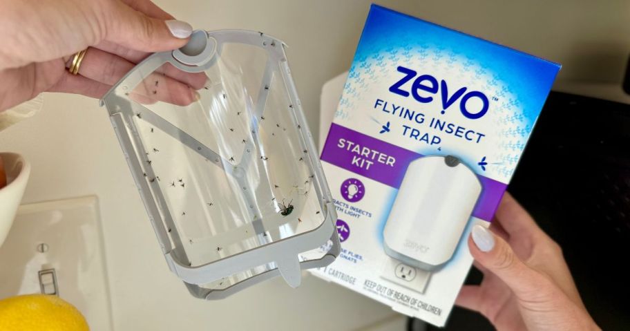 hand holding Zevo Flying Insect Trap Starter Kit box and zevo with bugs in it in kitchen