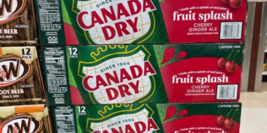 Canada Dry Cherry Ginger Ale 12-Pack Just $4.75 Shipped on Amazon