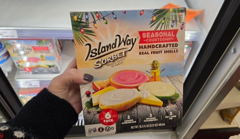 Our Favorite Island Way Fruit Sorbet Has Seasonal Flavors at Target!