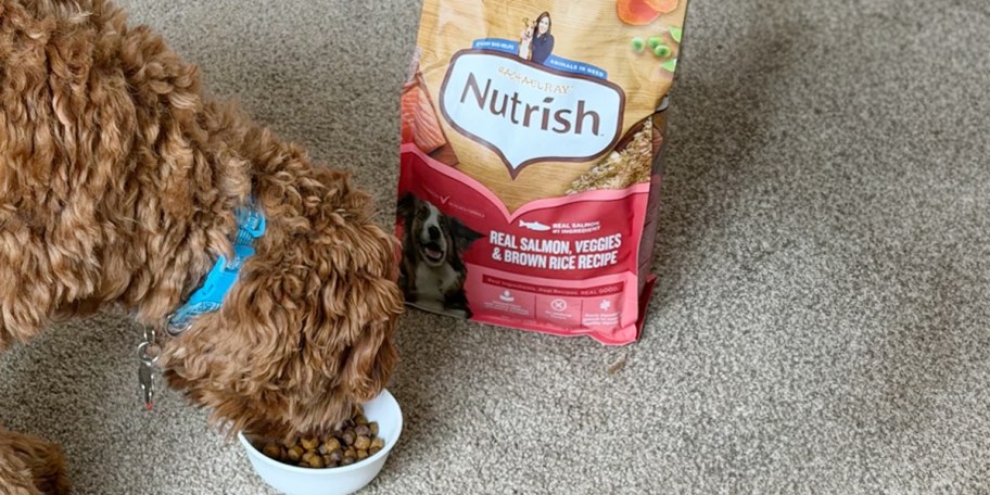 dog eating bowl of dog food next to bag of food