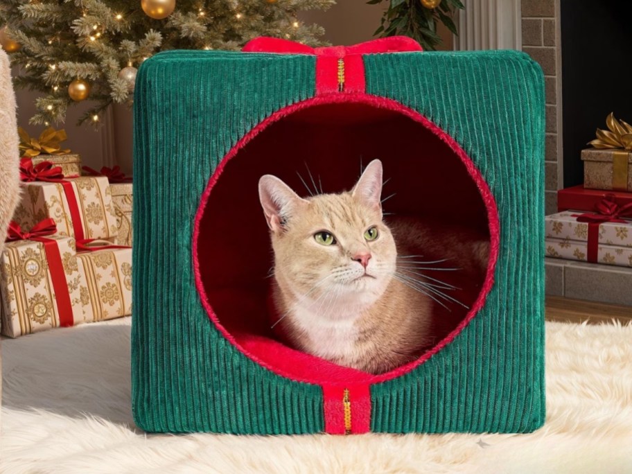 a cat in a Christmas gift shaped pet bed