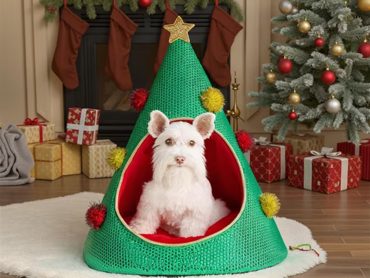 Your Pet Called: Walmart’s NEW Christmas Pet Beds Are on Their Wish List