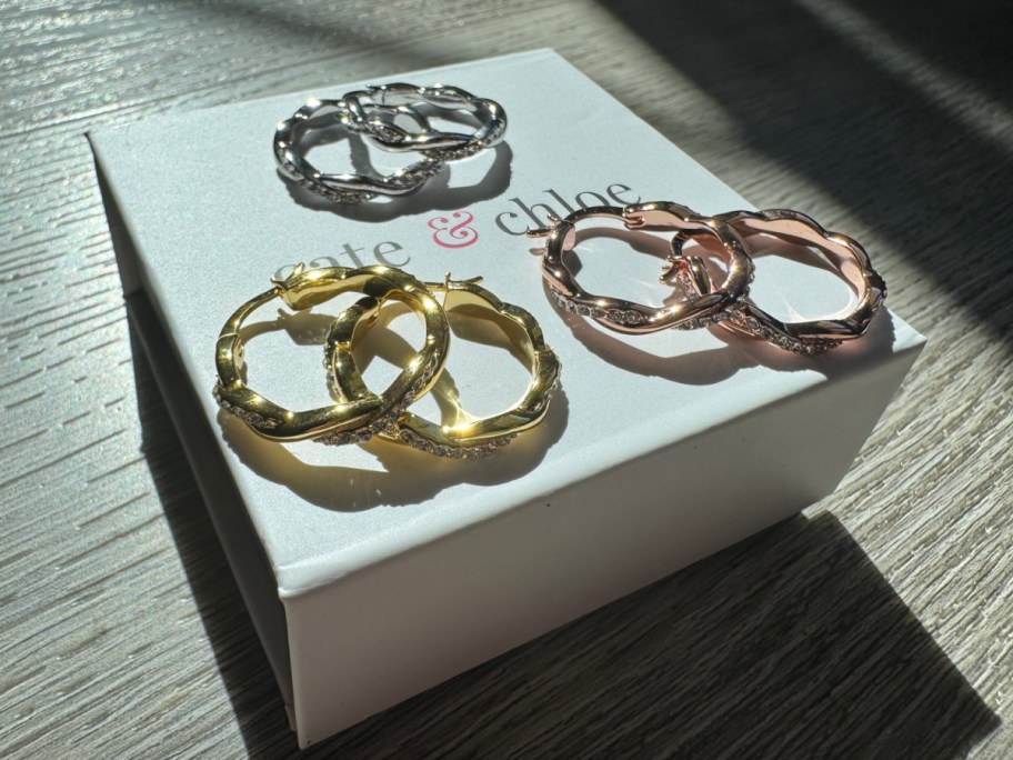 twisted hoop earrings in different finishes displayed on top of their box