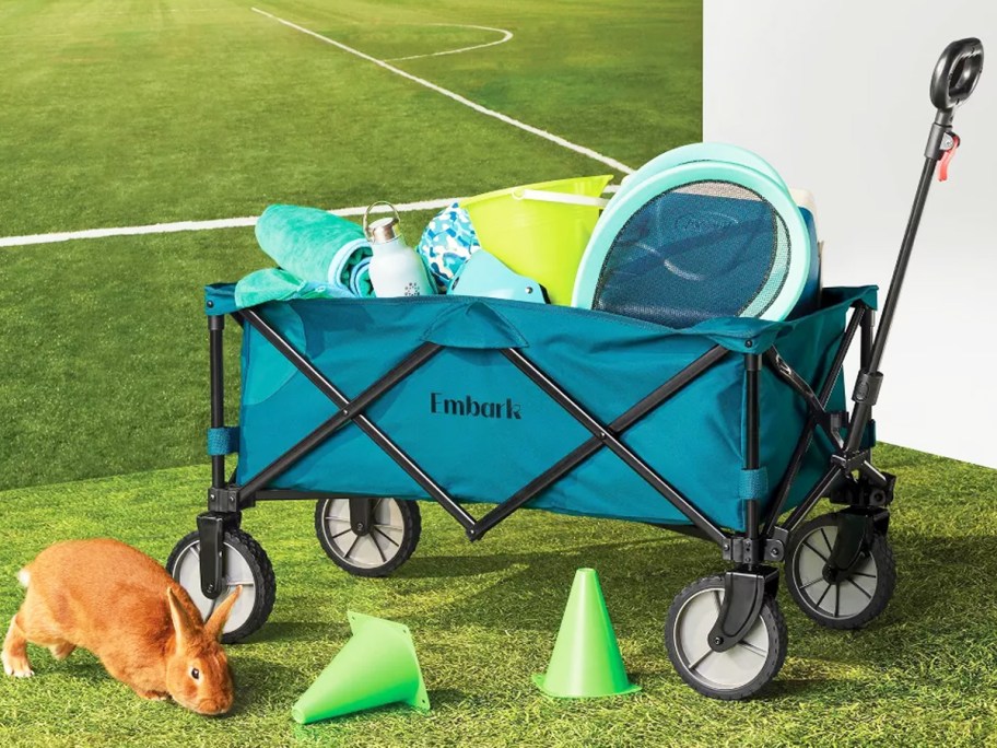 sports gear inside a teal wagon with a bunny next to it