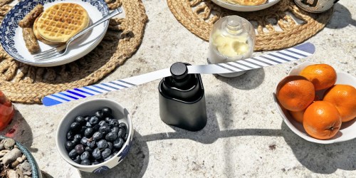 Fly Fans 4-Pack Just $14.99 on Amazon (Reg. $32) | Keeps Bugs Away from Food