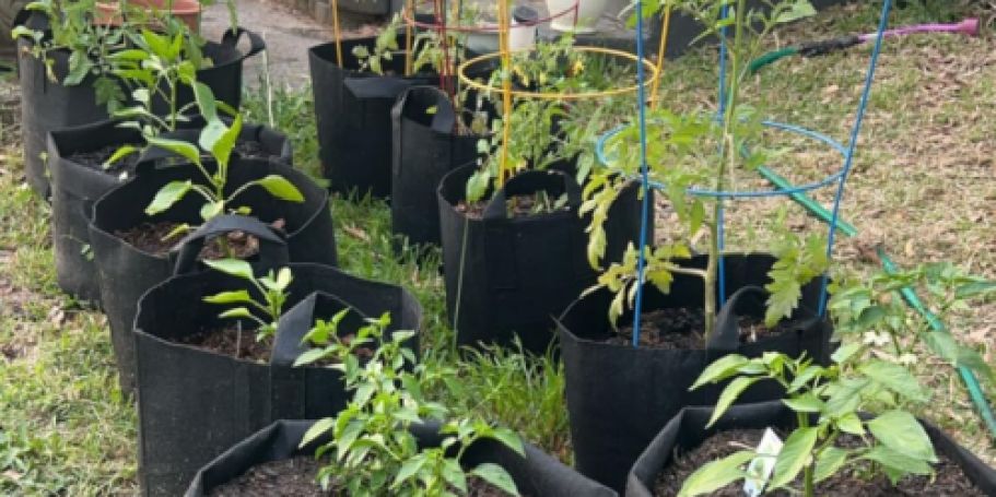 Plant Grow Bags from $1.50 Each on Amazon