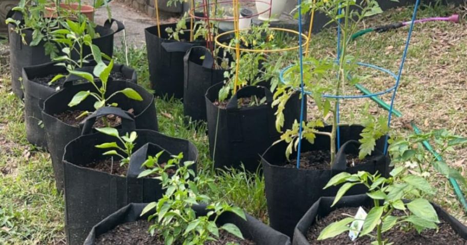 Plant Grow Bags from $1.50 Each on Amazon