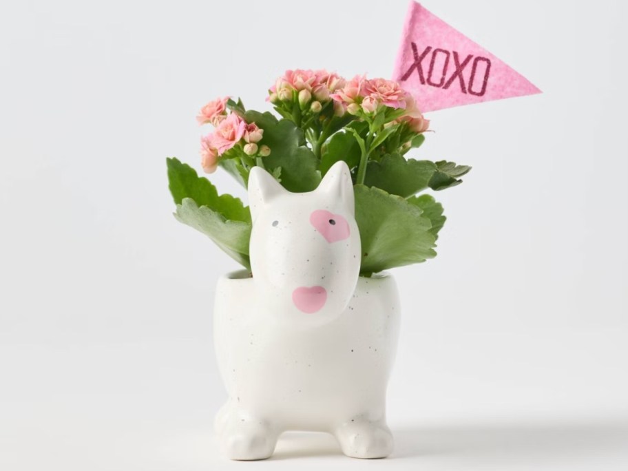 a white and pink Bullseye Target dog planter with a plant in it