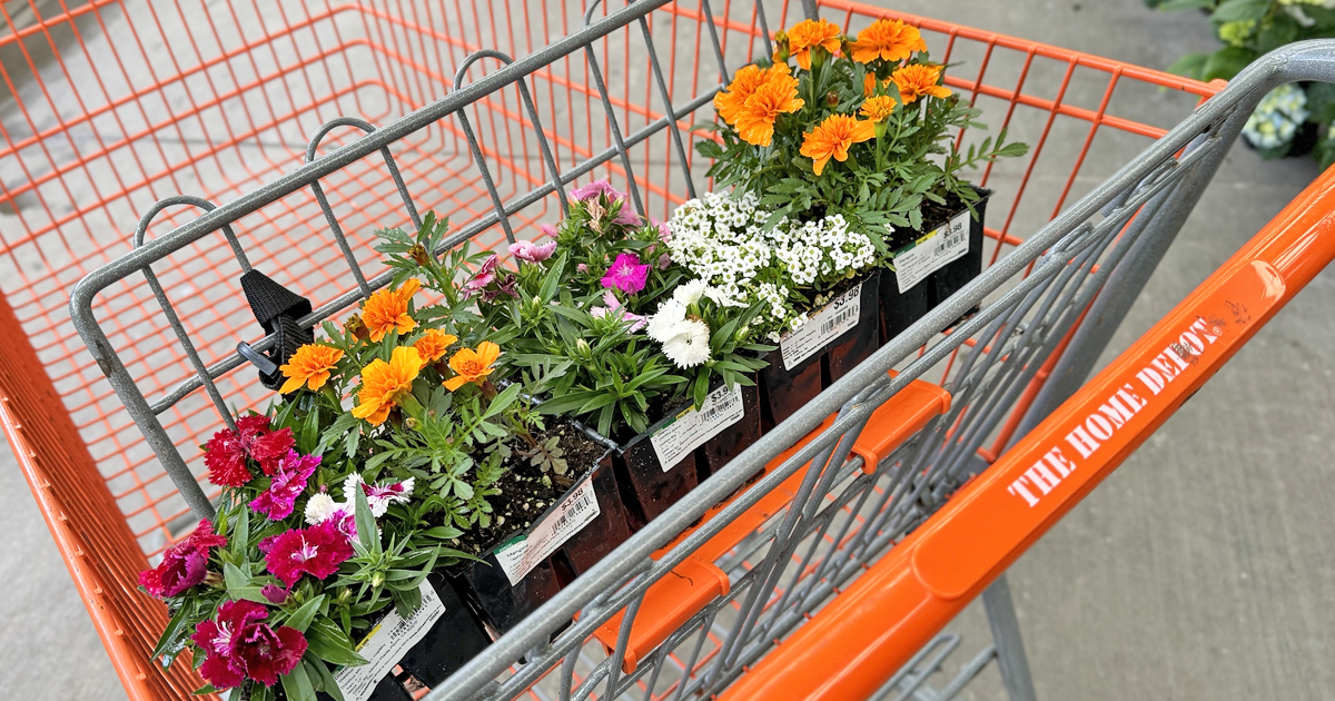 Best Home Depot Labor Day Deals | Save on Lawn Care, Milwaukee Tools & Appliances