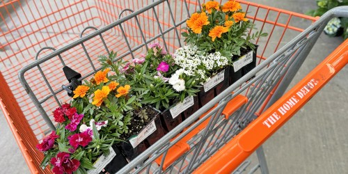 Best Home Depot Labor Day Deals | Save on Lawn Care, Milwaukee Tools & Appliances