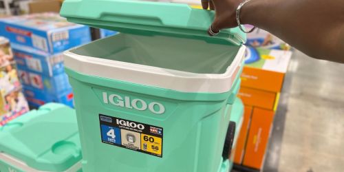 Target Daily Deals | Save on Igloo, Liquid I.V., Women’s Activewear & More