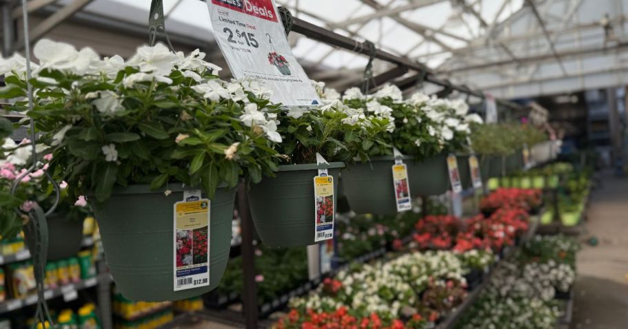 Lowe’s Hanging Flower Baskets Only $7.50 Each (Just Buy 2!)