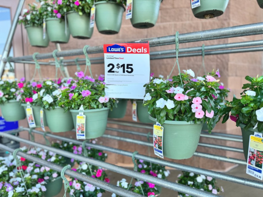 Lowe's hanging baskets on sale two for $15 in store