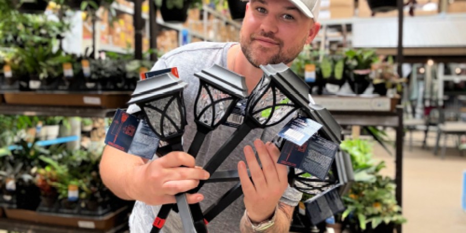 Solar LED Outdoor Path Lights ONLY $2.70 Each at Lowe’s (Just Buy a 4-Pack)
