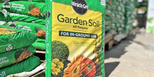 Miracle-Gro Garden Soil ONLY $2