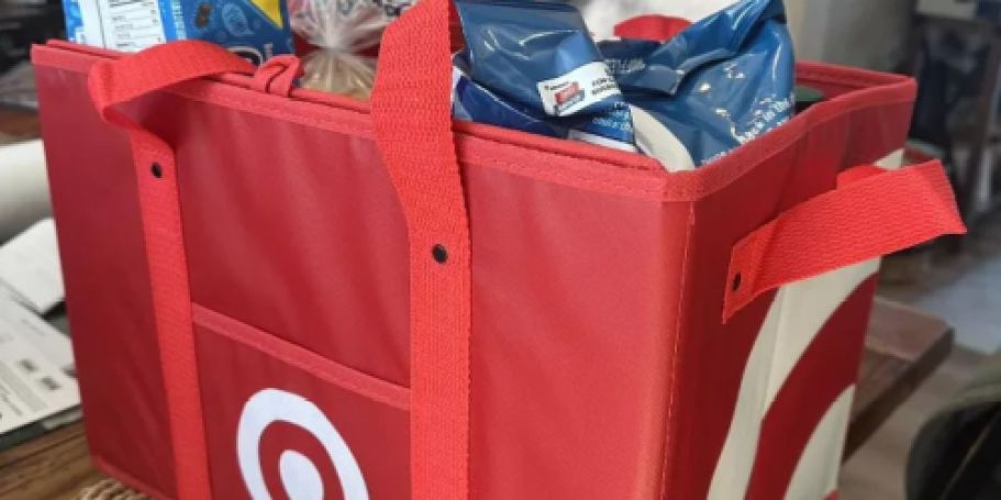 Target’s $5 Collapsible Bags Are Back in Stock (These WILL Sell Out Again!)
