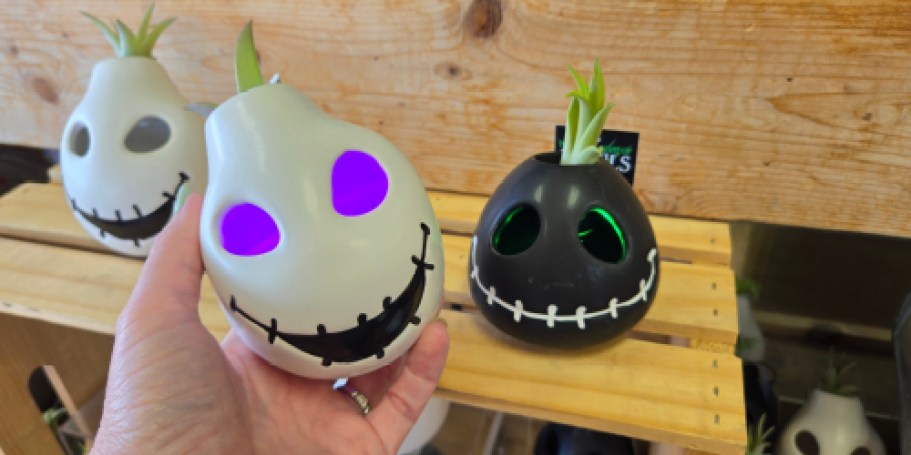 Trader Joe’s Light Up Ghouls Air Plants Just $6.99