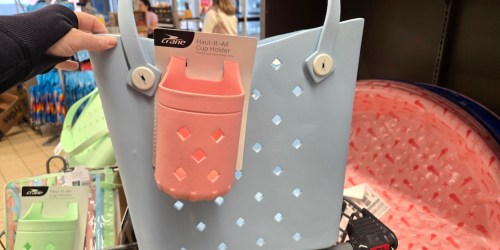 ALDI Totes Only $24.99 + Summer Accessories