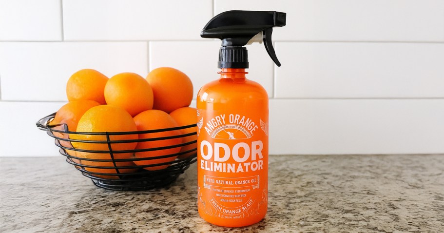 Highly-Rated Angry Orange Pet Odor Eliminator Just $12.57 Shipped on Amazon