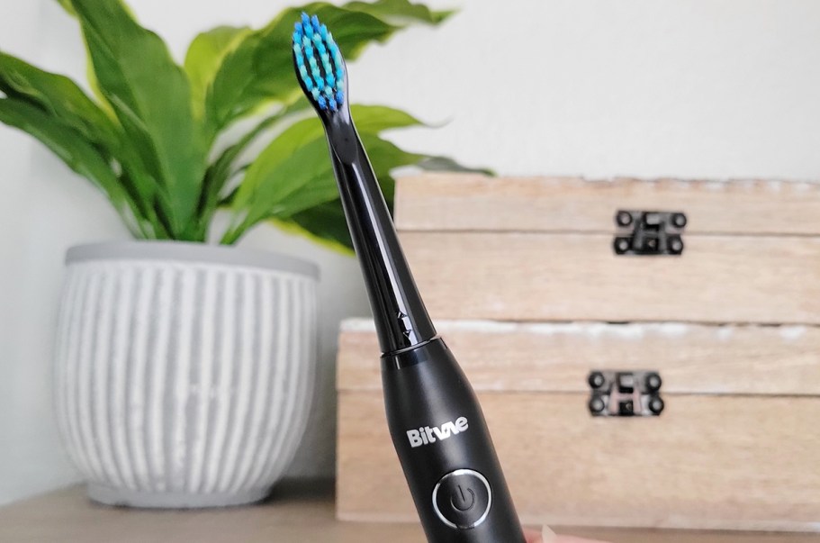 Highly-Rated Electric Toothbrush w/ 8 Brush Heads Only $11.99 on Amazon
