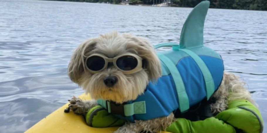 Dog Life Jackets from $13 on Amazon (Reg. $27) | Includes Reflective Strips & Handle