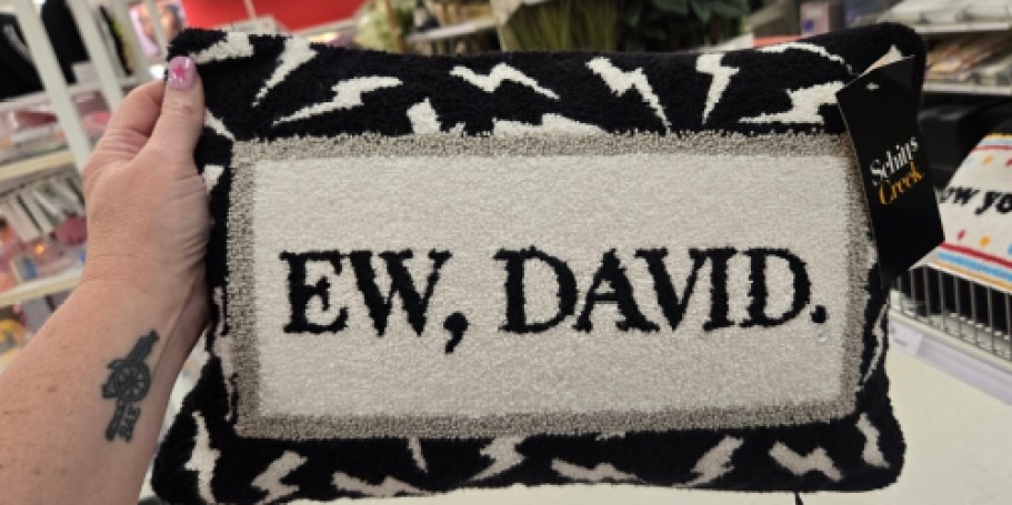 Pop Culture Throw Pillows Just $11.99 on Target.com (Great for College)