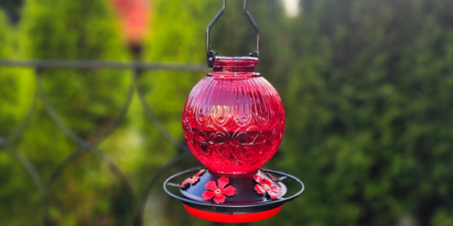 Glass Hummingbird Feeder Only $9.49 on Amazon (Reg. $20)