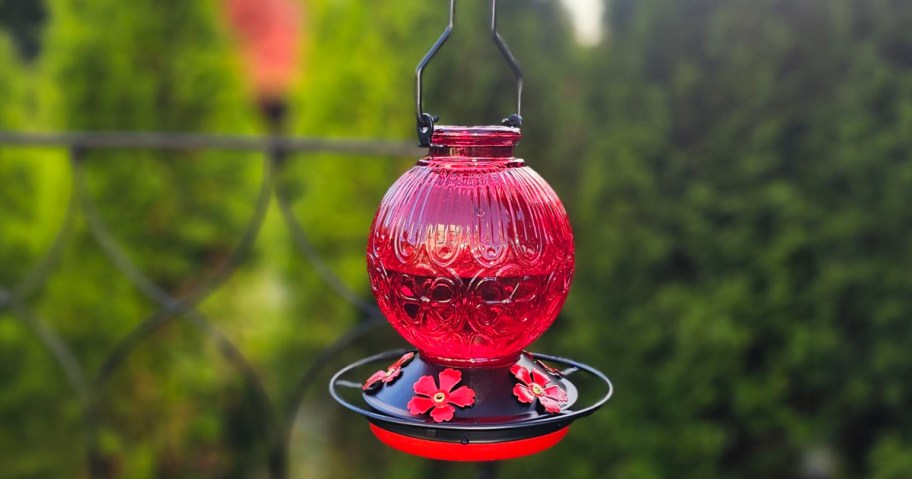 glass hummingbird feeder