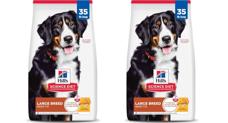 stock image of two large dog bags