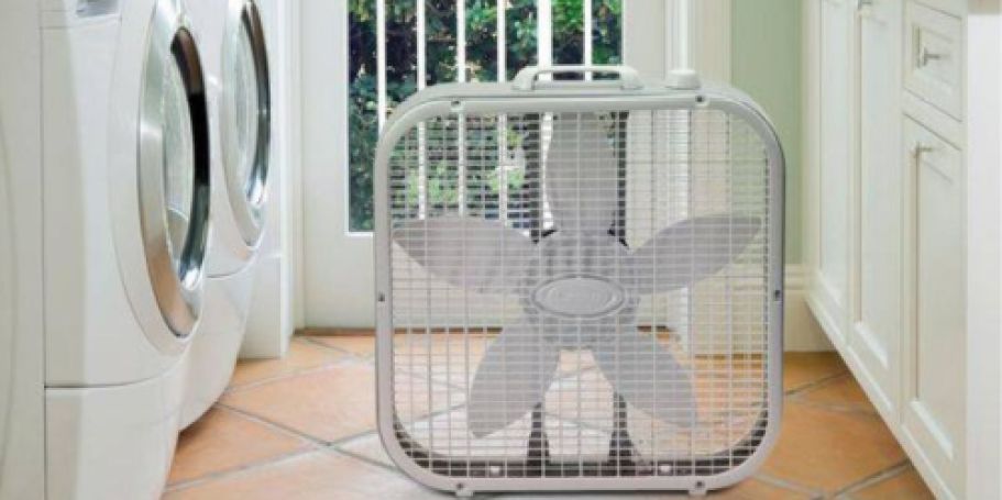 Lasko Box Fan Only $13.99 Shipped for Prime Members (Reg. $31)