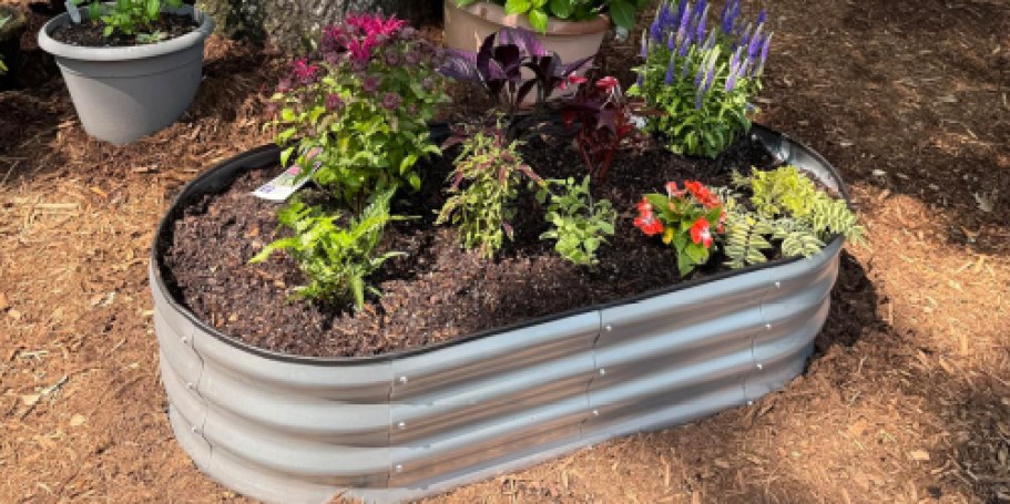Galvanized Steel Raised Garden Bed Only $32.49 Shipped on Amazon (Reg. $64)