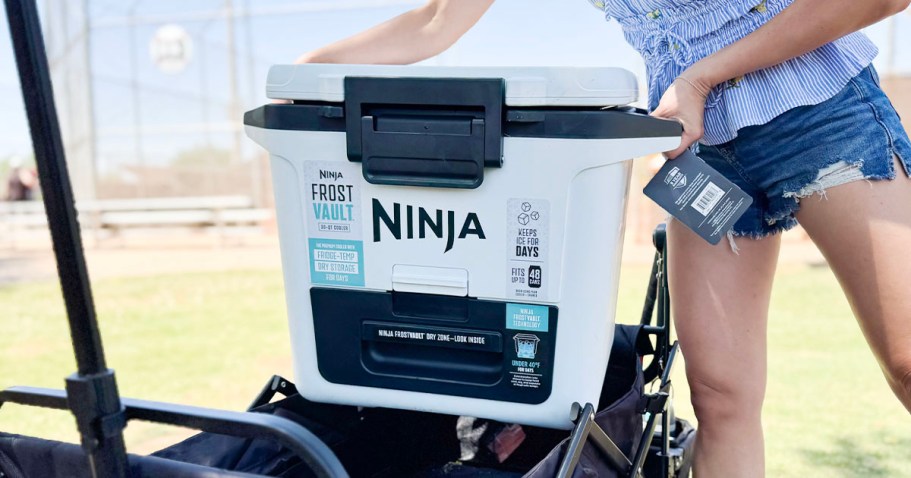 OVER $60 Off Ninja FrostVault Cooler w/ DryZone + Free Shipping (Today Only!)