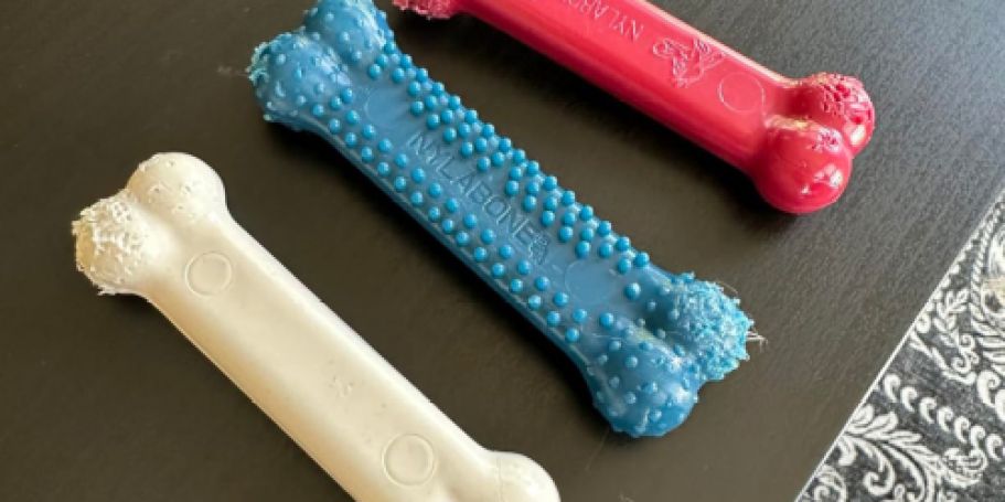 Nylabone Dog Power Chew 3-Pack Only $4 Shipped on Amazon (Reg. $14)