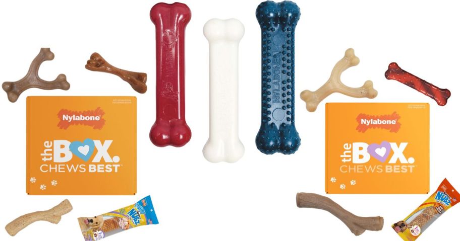 three nylabone sets