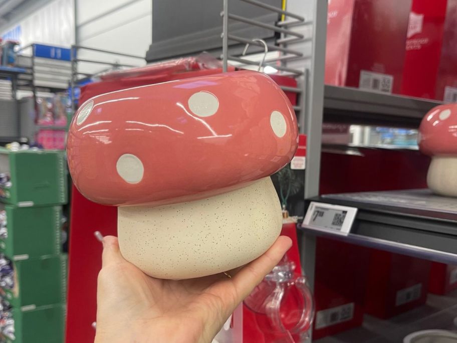 Mainstays Ceramic Mushroom Planter in hand in store