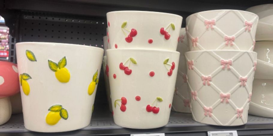 Walmart Already Dropped NEW Spring Planters (And They’re So Cute!)