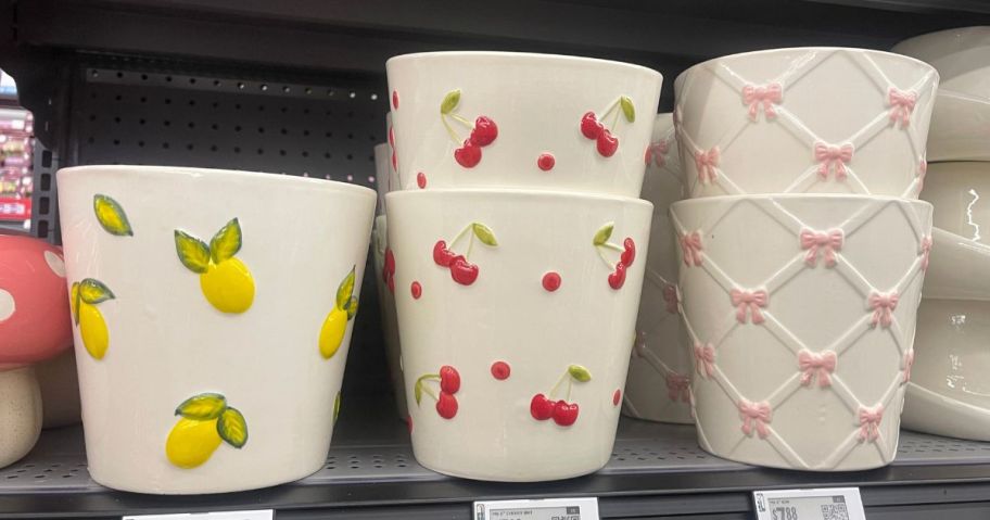 planters on shelf in store
