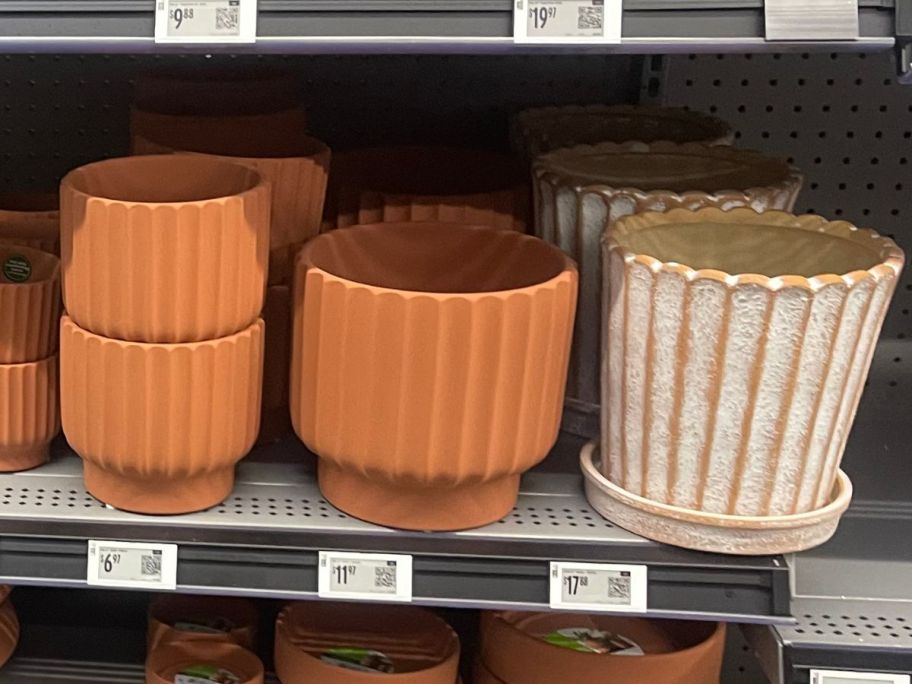 planters on shelf in store