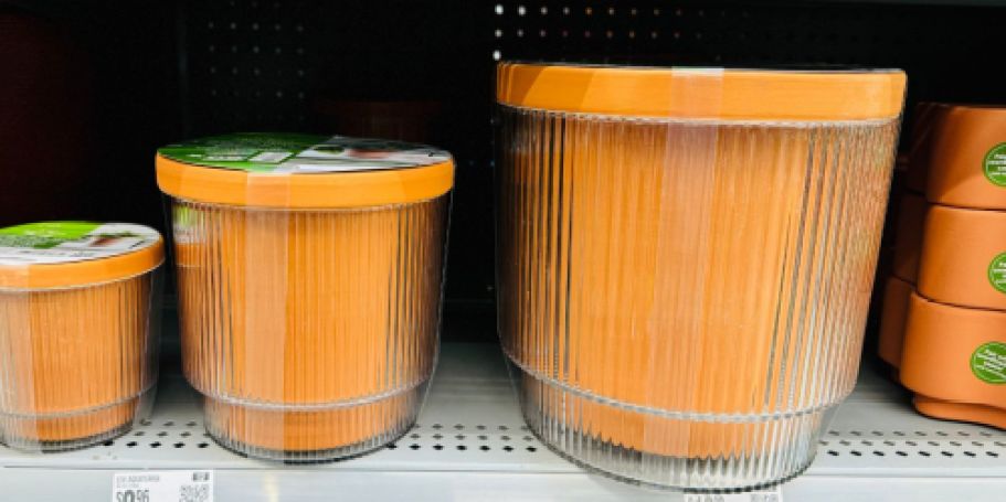 Keep Your Plants Alive for Less—Walmart’s Self-Watering Planters Only $2.44!