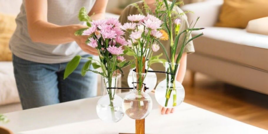 Plant Terrarium Only $10.99 on Amazon (Regularly $22)