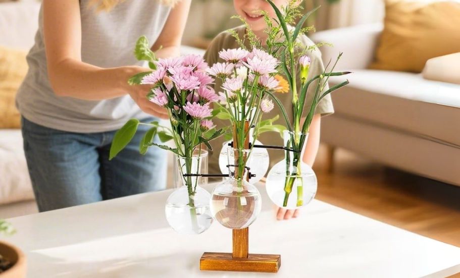Plant Terrarium Only $10.99 on Amazon (Regularly $22)