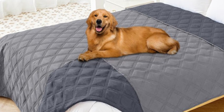 Waterproof Dog Blanket Only $6.98 on Amazon