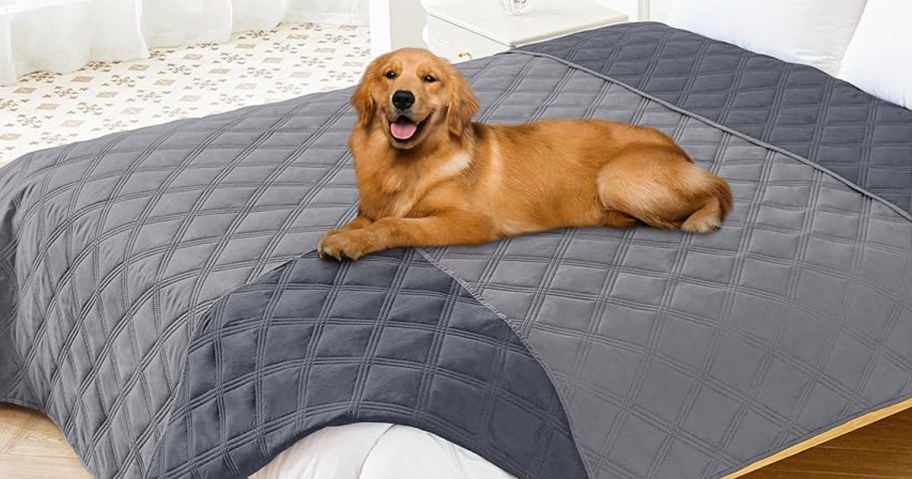 dog laying on top of a waterproof blanket on a bed