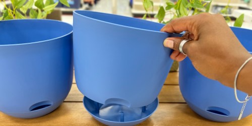 Target Self-Watering Planters from $3 – Make Gardening a Breeze!