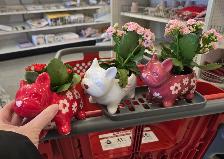 three dog planters on target cart