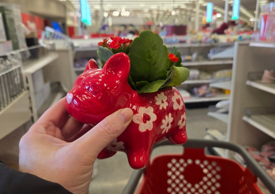 hand grabbing red dog planter