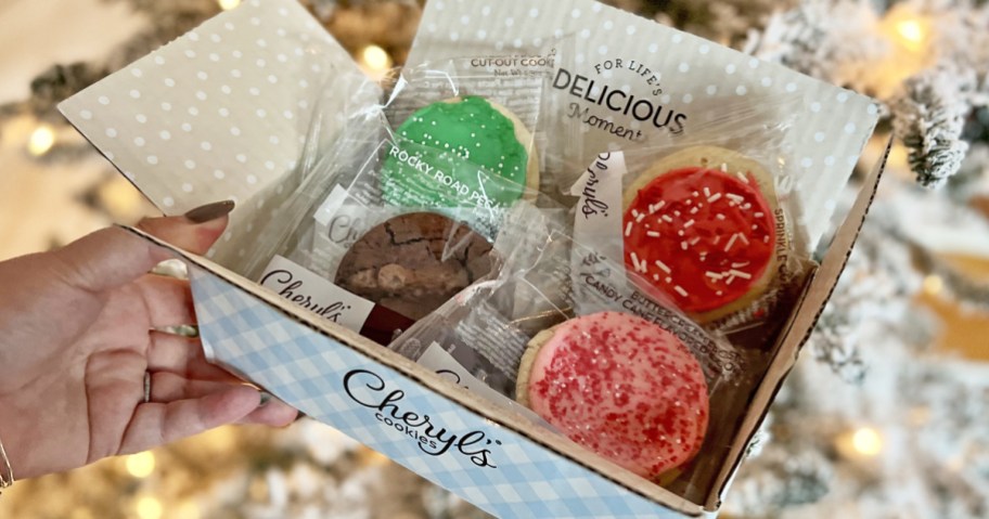 hand holding a box of christmas cookies near tree
