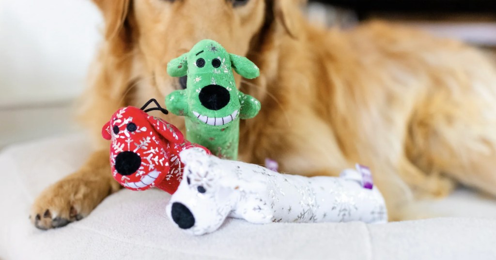 holiday themed dog toys in front of dog laying on carpet