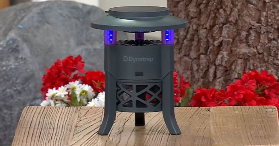 DynaTrap 1/4 Acre UV-LED Portable Insect & Mosquito Trap w/ Solar Panel on table