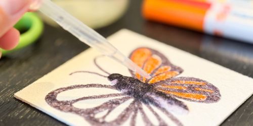 Magic Foam Texture Painting Craft Kit Just $12.99 on Amazon (Makes Drawings Expand w/ Water!)